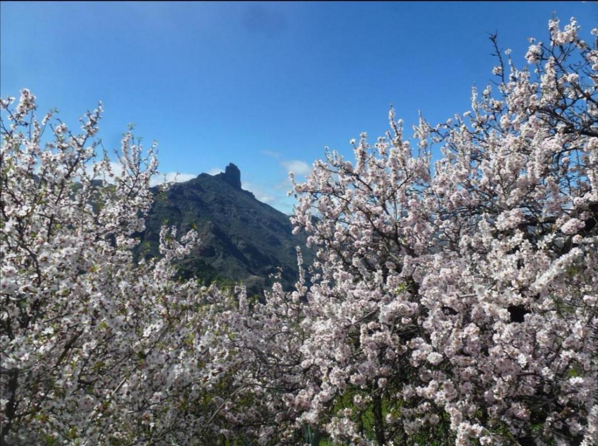 Casa Rural Juan Y Juana Canino Tejeda  Dış mekan fotoğraf